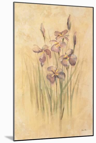 Purple Dream Irises-Cheri Blum-Mounted Art Print