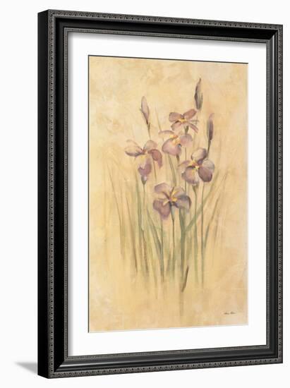 Purple Dream Irises-Cheri Blum-Framed Art Print