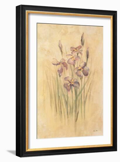 Purple Dream Irises-Cheri Blum-Framed Art Print