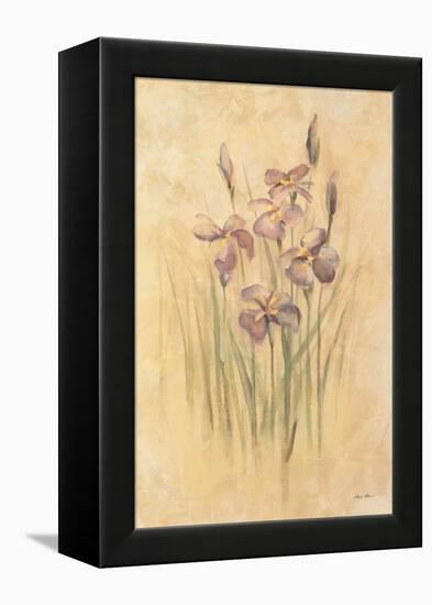 Purple Dream Irises-Cheri Blum-Framed Stretched Canvas