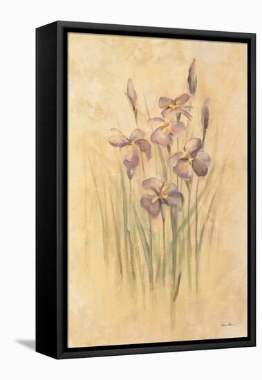 Purple Dream Irises-Cheri Blum-Framed Stretched Canvas