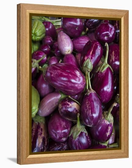 Purple eggplant, Seafront Market, St-Paul, Reunion Island, France-Walter Bibikow-Framed Premier Image Canvas