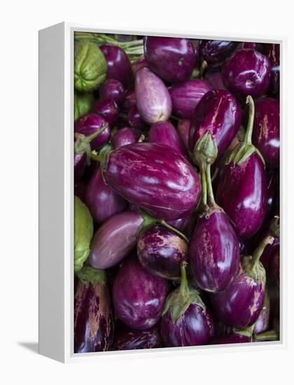 Purple eggplant, Seafront Market, St-Paul, Reunion Island, France-Walter Bibikow-Framed Premier Image Canvas