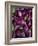 Purple eggplant, Seafront Market, St-Paul, Reunion Island, France-Walter Bibikow-Framed Photographic Print