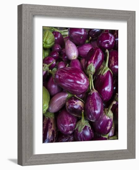 Purple eggplant, Seafront Market, St-Paul, Reunion Island, France-Walter Bibikow-Framed Photographic Print