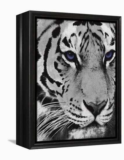 Purple Eyes-Jace Grey-Framed Stretched Canvas