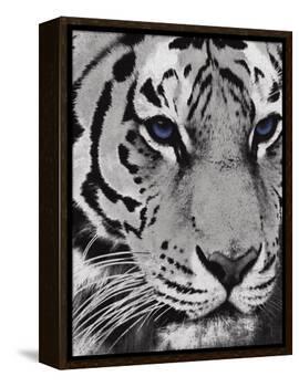 Purple Eyes-Jace Grey-Framed Stretched Canvas