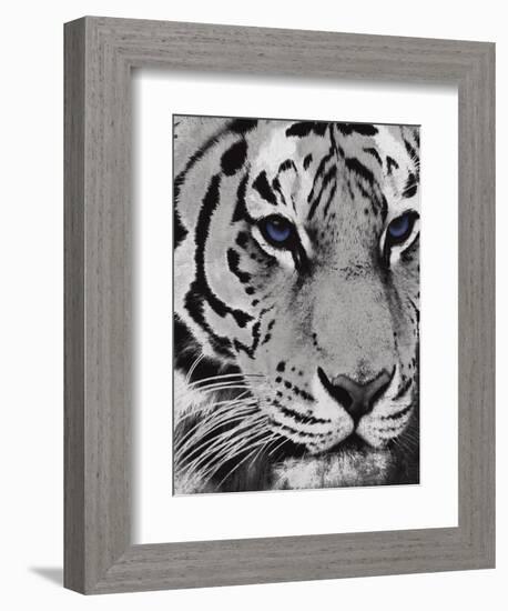 Purple Eyes-Jace Grey-Framed Art Print