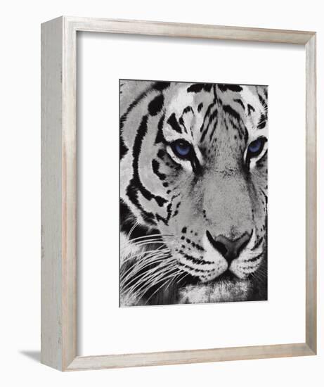 Purple Eyes-Jace Grey-Framed Art Print