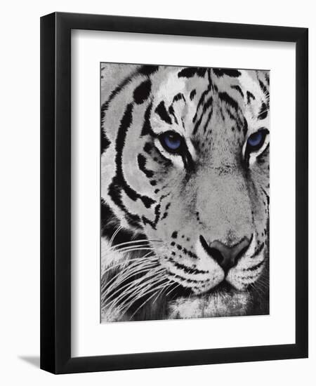 Purple Eyes-Jace Grey-Framed Art Print