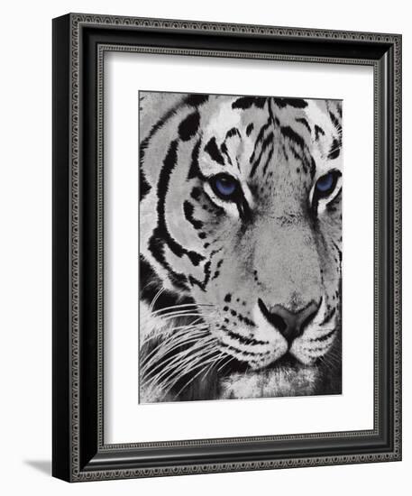 Purple Eyes-Jace Grey-Framed Art Print