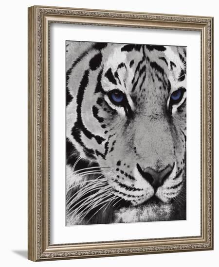 Purple Eyes-Jace Grey-Framed Art Print