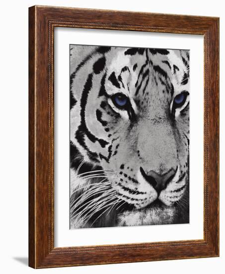 Purple Eyes-Jace Grey-Framed Art Print