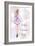 Purple Fashion 1-Kimberly Allen-Framed Art Print