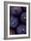 Purple Figs Iii-Den Reader-Framed Photographic Print