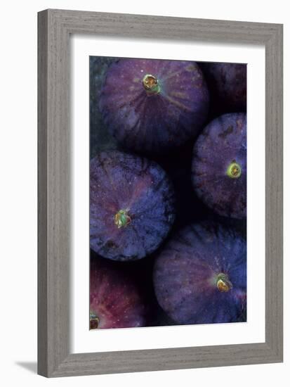 Purple Figs Iii-Den Reader-Framed Photographic Print