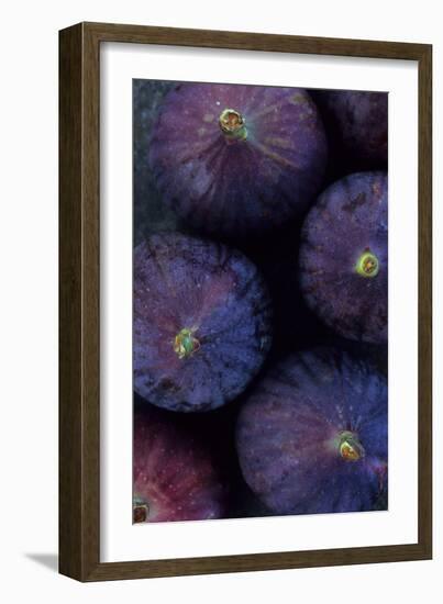 Purple Figs Iii-Den Reader-Framed Photographic Print