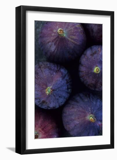 Purple Figs Iii-Den Reader-Framed Photographic Print