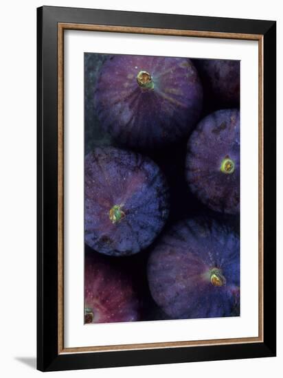 Purple Figs Iii-Den Reader-Framed Photographic Print