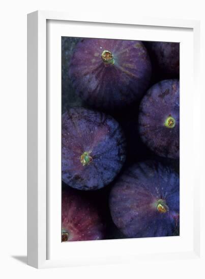 Purple Figs Iii-Den Reader-Framed Photographic Print