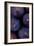 Purple Figs Iii-Den Reader-Framed Photographic Print