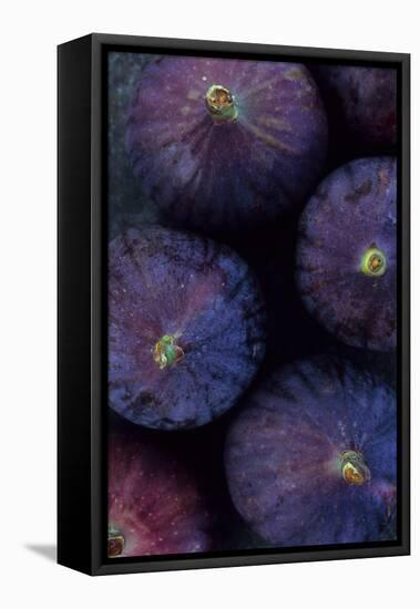 Purple Figs Iii-Den Reader-Framed Premier Image Canvas