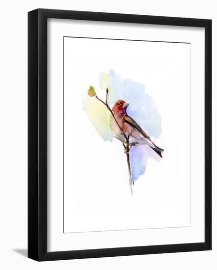 Purple Finch, 2016-John Keeling-Framed Giclee Print