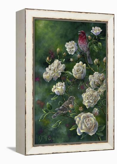 Purple Finch-Jeff Tift-Framed Premier Image Canvas