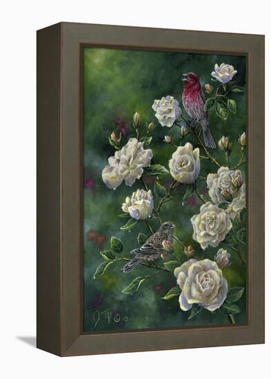 Purple Finch-Jeff Tift-Framed Premier Image Canvas