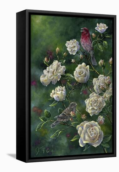 Purple Finch-Jeff Tift-Framed Premier Image Canvas