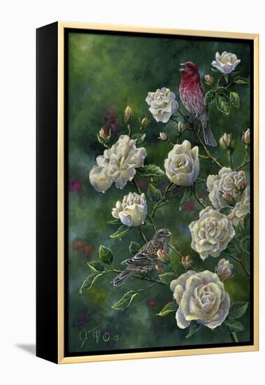 Purple Finch-Jeff Tift-Framed Premier Image Canvas