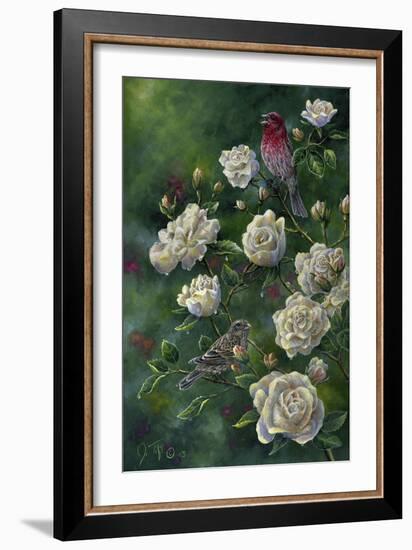 Purple Finch-Jeff Tift-Framed Giclee Print