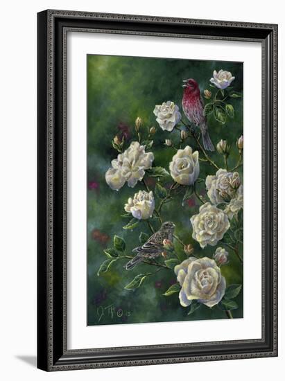 Purple Finch-Jeff Tift-Framed Giclee Print