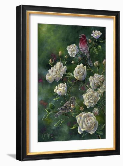 Purple Finch-Jeff Tift-Framed Giclee Print