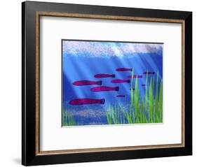 Purple Fish in Calm Blue Water with Seagrass-Rich LaPenna-Framed Photographic Print
