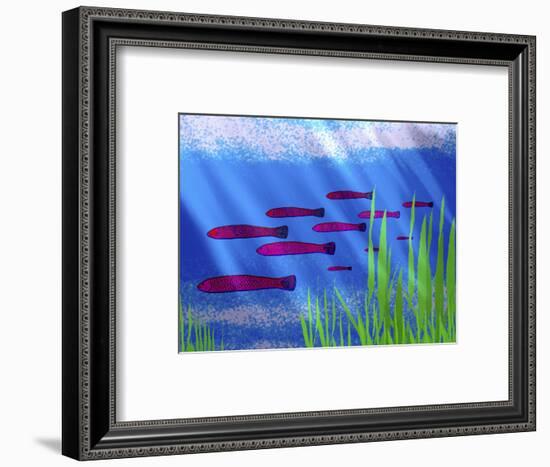 Purple Fish in Calm Blue Water with Seagrass-Rich LaPenna-Framed Photographic Print