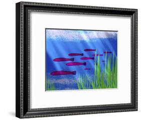 Purple Fish in Calm Blue Water with Seagrass-Rich LaPenna-Framed Photographic Print