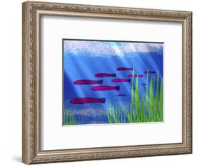 Purple Fish in Calm Blue Water with Seagrass-Rich LaPenna-Framed Photographic Print