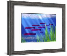 Purple Fish in Calm Blue Water with Seagrass-Rich LaPenna-Framed Photographic Print