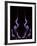 Purple Flames-Heidi Westum-Framed Photographic Print