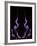 Purple Flames-Heidi Westum-Framed Photographic Print