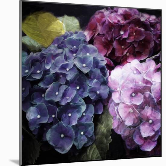 Purple Flower Bushels-Milli Villa-Mounted Art Print