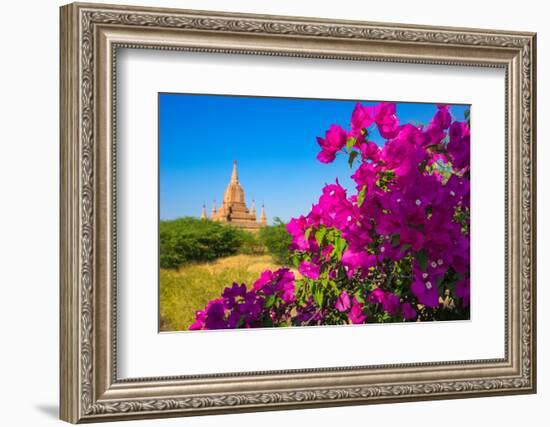 Purple flower of bougainvillea with pagoda in background, Old Bagan (Pagan),  Myanmar (Burma)-Jan Miracky-Framed Photographic Print