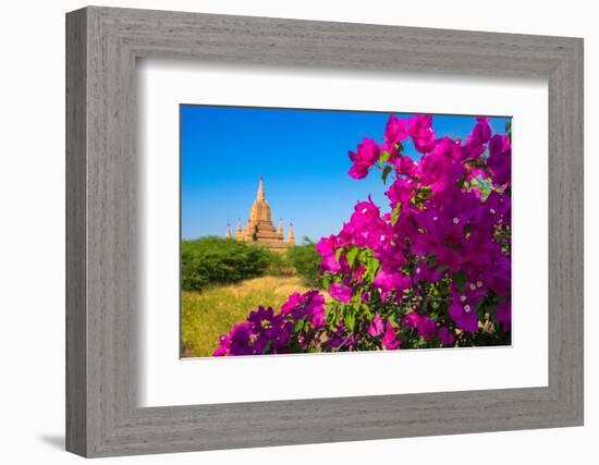 Purple flower of bougainvillea with pagoda in background, Old Bagan (Pagan),  Myanmar (Burma)-Jan Miracky-Framed Photographic Print