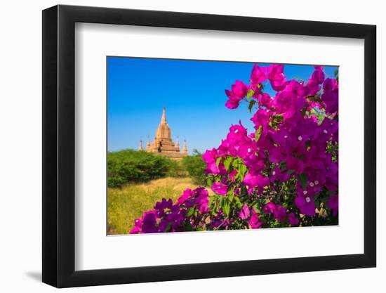 Purple flower of bougainvillea with pagoda in background, Old Bagan (Pagan),  Myanmar (Burma)-Jan Miracky-Framed Photographic Print