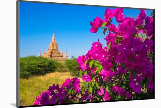 Purple flower of bougainvillea with pagoda in background, Old Bagan (Pagan),  Myanmar (Burma)-Jan Miracky-Mounted Photographic Print