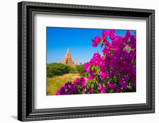 Purple flower of bougainvillea with pagoda in background, Old Bagan (Pagan),  Myanmar (Burma)-Jan Miracky-Framed Photographic Print