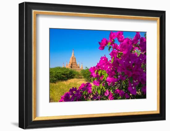 Purple flower of bougainvillea with pagoda in background, Old Bagan (Pagan),  Myanmar (Burma)-Jan Miracky-Framed Photographic Print