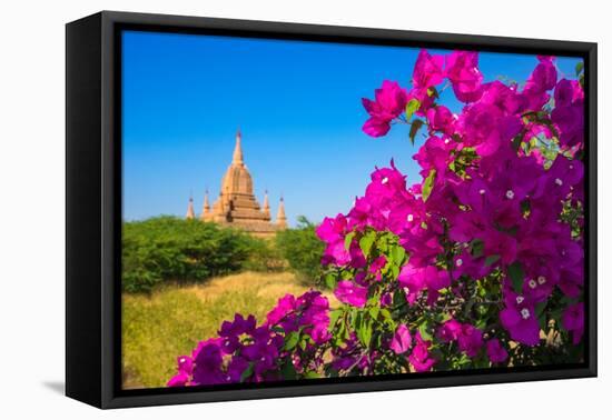 Purple flower of bougainvillea with pagoda in background, Old Bagan (Pagan),  Myanmar (Burma)-Jan Miracky-Framed Premier Image Canvas