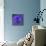 Purple Flower on Purple 03-Tom Quartermaine-Giclee Print displayed on a wall